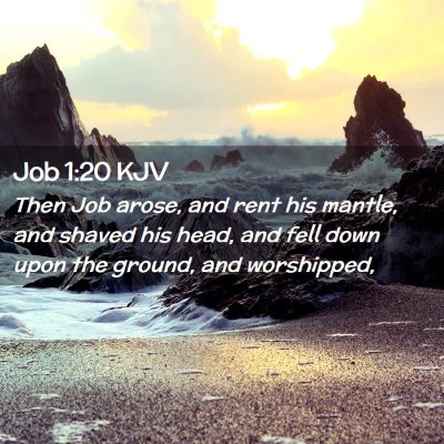 Job 1:20 KJV Free Bible Images