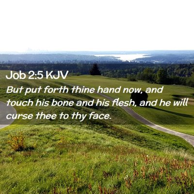 Job 2:5 KJV Free Bible Images