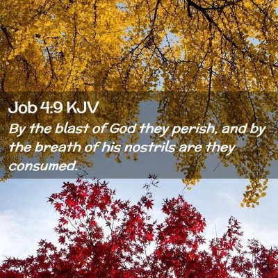 Job 4:9 KJV Free Bible Images