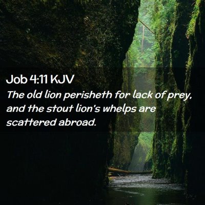 Job 4:11 KJV Free Bible Images