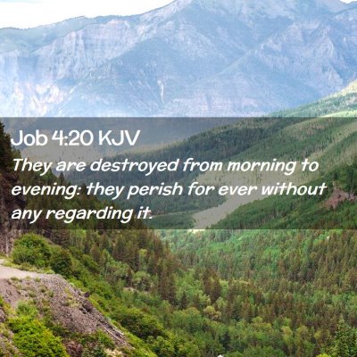 Job 4:20 KJV Free Bible Images