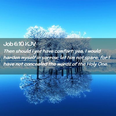 Job 6:10 KJV Free Bible Images