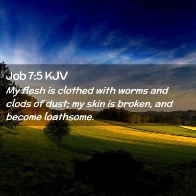 Job 7:5 KJV Free Bible Images