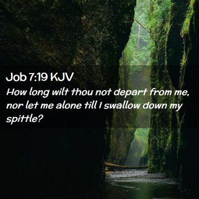 Job 7:19 KJV Free Bible Images