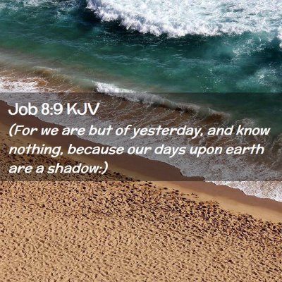 Job 8:9 KJV Free Bible Images