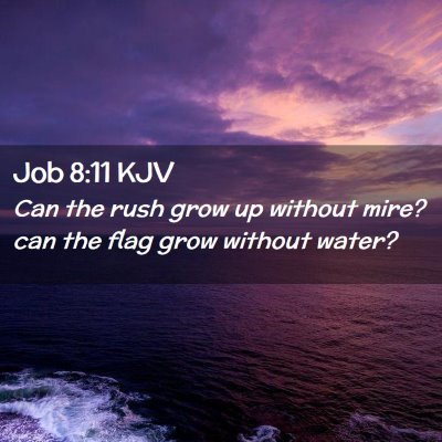 Job 8:11 KJV Free Bible Images