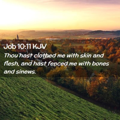 Job 10:11 KJV Free Bible Images