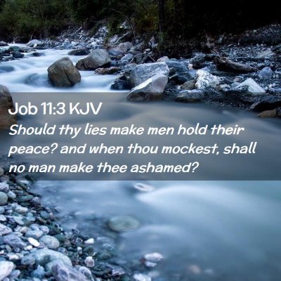 Job 11:3 KJV Free Bible Images