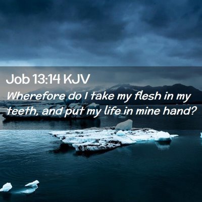 Job 13:14 KJV Free Bible Images