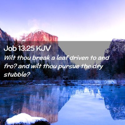 Job 13:25 KJV Free Bible Images