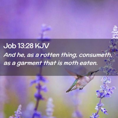 Job 13:28 KJV Free Bible Images