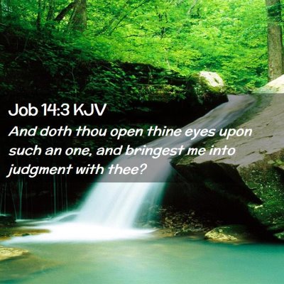 Job 14:3 KJV Free Bible Images