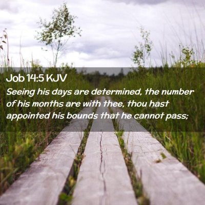 Job 14:5 KJV Free Bible Images