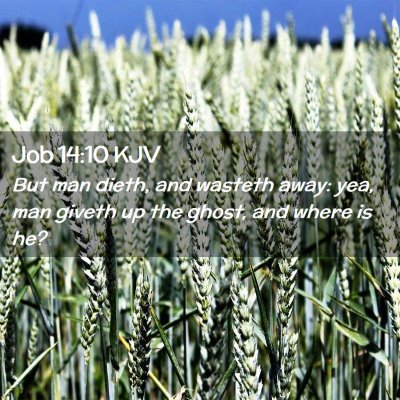 Job 14:10 KJV Free Bible Images