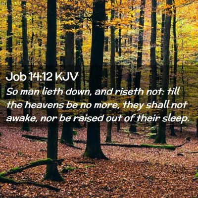 Job 14:12 KJV Free Bible Images