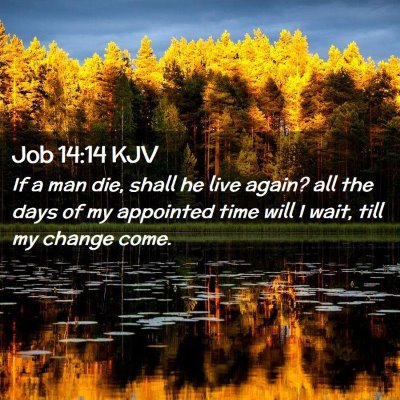 Job 14:14 KJV Free Bible Images