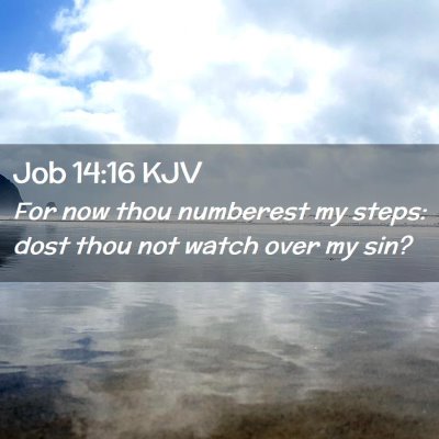 Job 14:16 KJV Free Bible Images