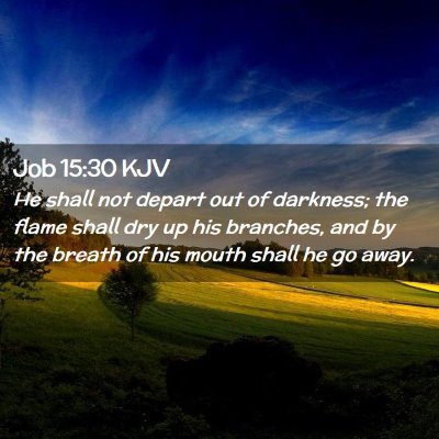 Job 15:30 KJV Free Bible Images