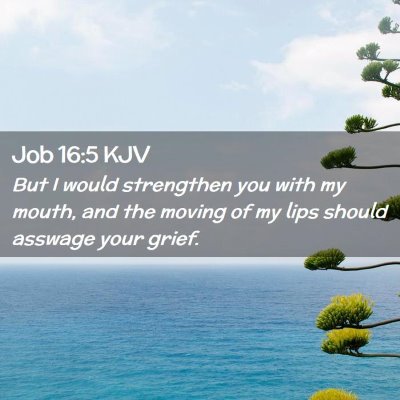 Job 16:5 KJV Free Bible Images