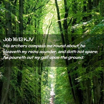 Job 16:13 KJV Free Bible Images