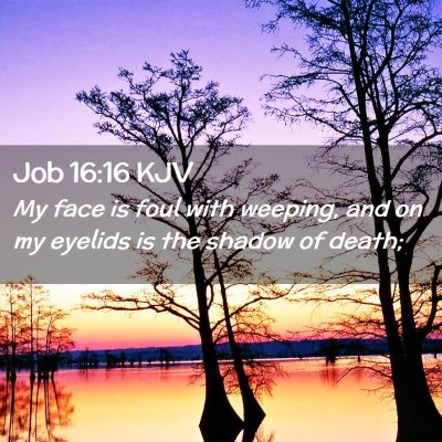 Job 16:16 KJV Free Bible Images