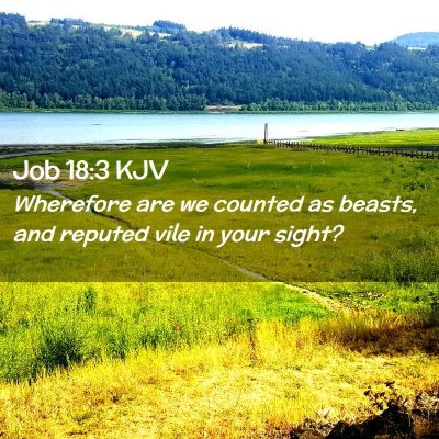 Job 18:3 KJV Free Bible Images