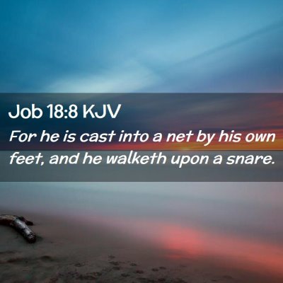 Job 18:8 KJV Free Bible Images