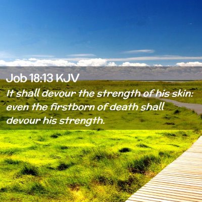 Job 18:13 KJV Free Bible Images