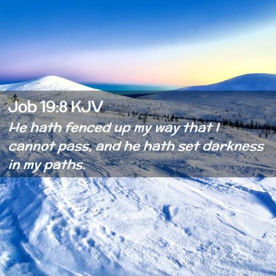 Job 19:8 KJV Free Bible Images