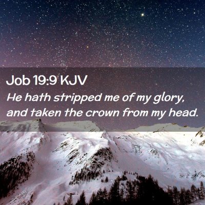 Job 19:9 KJV Free Bible Images