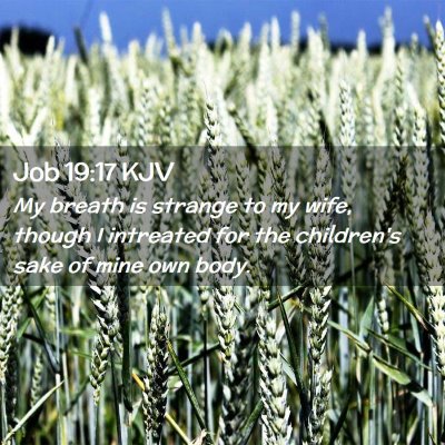 Job 19:17 KJV Free Bible Images