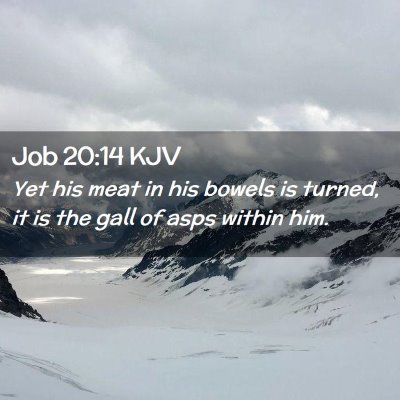 Job 20:14 KJV Free Bible Images