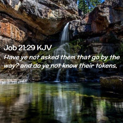 Job 21:29 KJV Free Bible Images