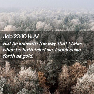 Job 23:10 KJV Free Bible Images