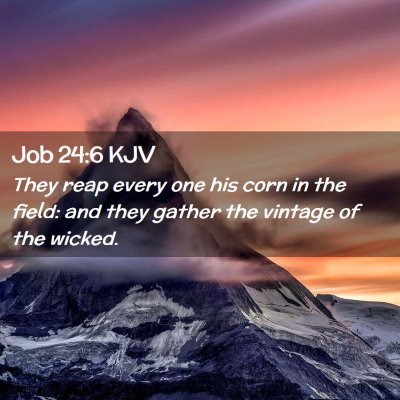 Job 24:6 KJV Free Bible Images