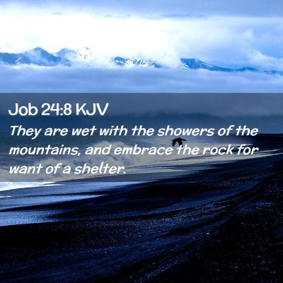 Job 24:8 KJV Free Bible Images