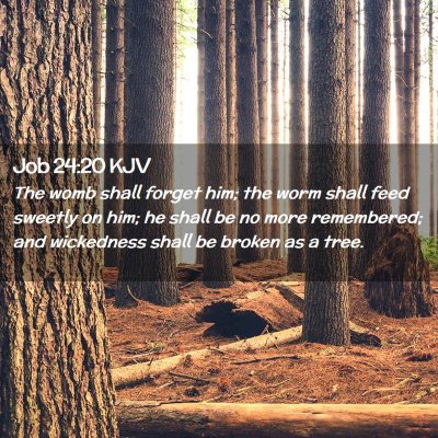 Job 24:20 KJV Free Bible Images