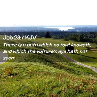 Job 28:7 KJV Free Bible Images