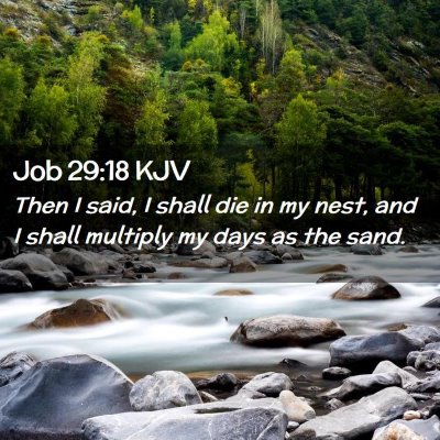 Job 29:18 KJV Free Bible Images