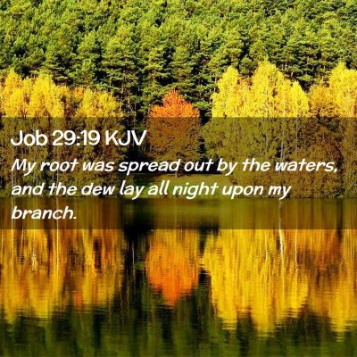 Job 29:19 KJV Free Bible Images