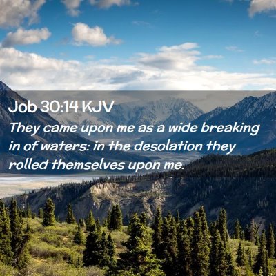 Job 30:14 KJV Free Bible Images