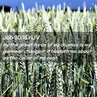 Job 30:18 KJV Free Bible Images