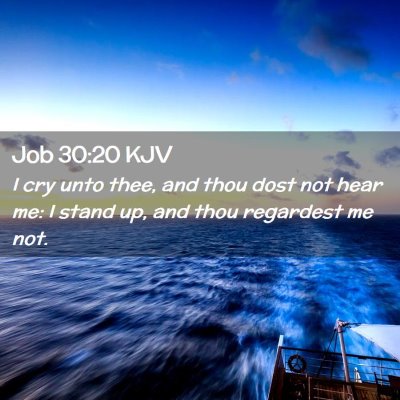 Job 30:20 KJV Free Bible Images