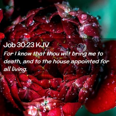 Job 30:23 KJV Free Bible Images