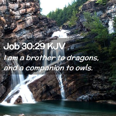 Job 30:29 KJV Free Bible Images