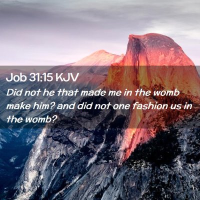 Job 31:15 KJV Free Bible Images