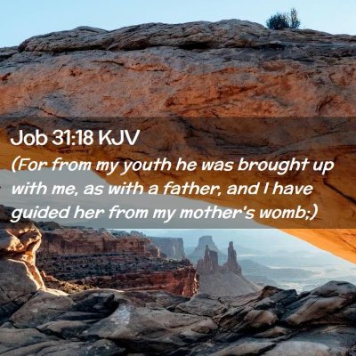 Job 31:18 KJV Free Bible Images