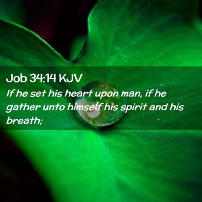 Job 34:14 KJV Free Bible Images