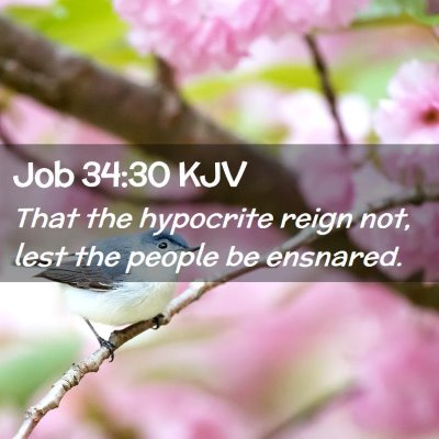 Job 34:30 KJV Free Bible Images