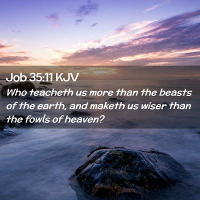 Job 35:11 KJV Free Bible Images